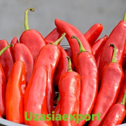 Hot pepper